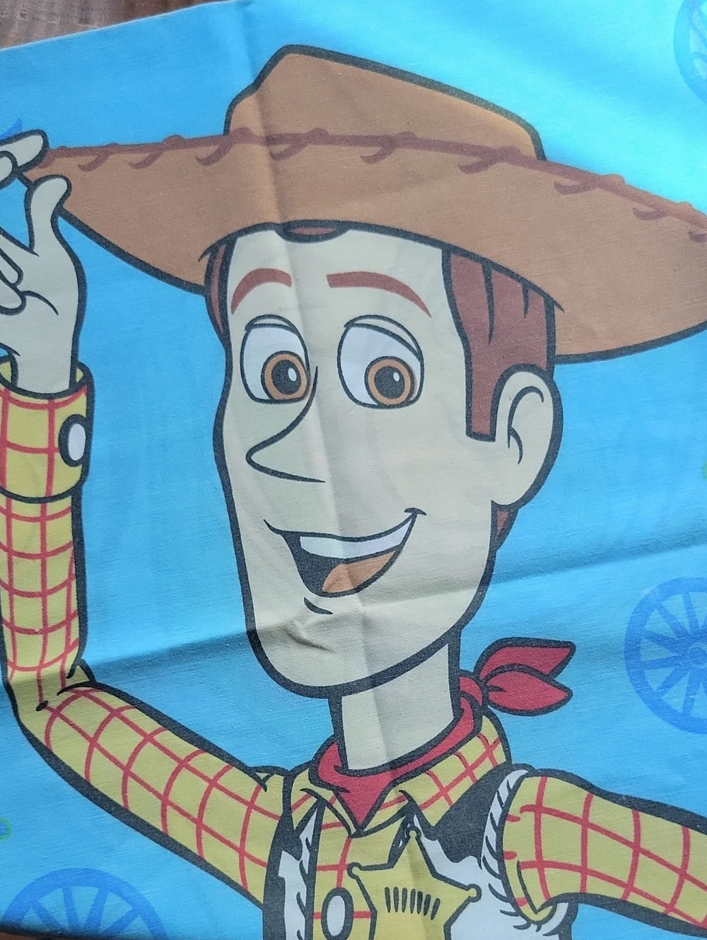 Vintage Cotton Percale Toy Story Pillowcase, Buzz And Woody